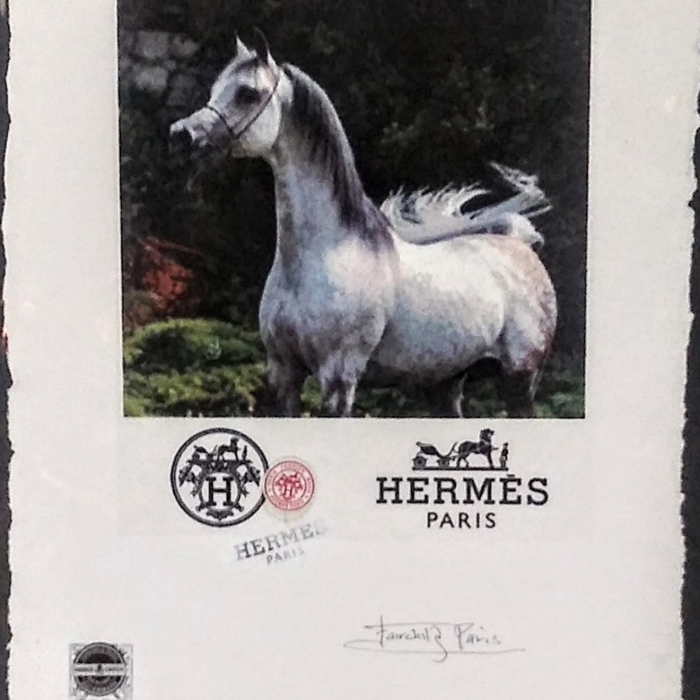 HERMÉS, Arabian Stallion Print, By Fairchild Paris - Picture 3 of 12